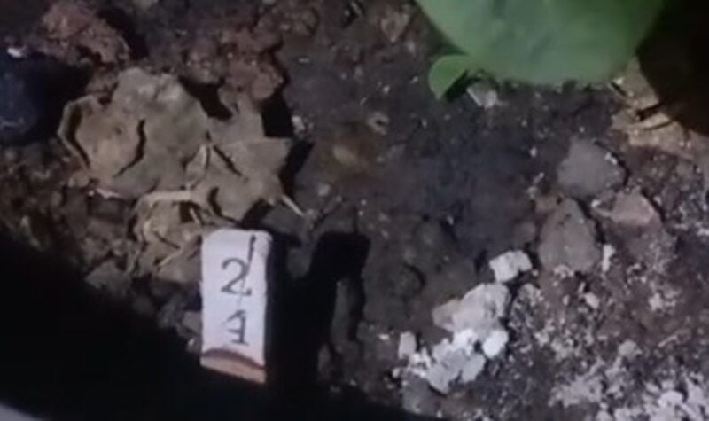 Lottery fever: Crowds flock to Ganesha shrine in central Thailand | News by Thaiger