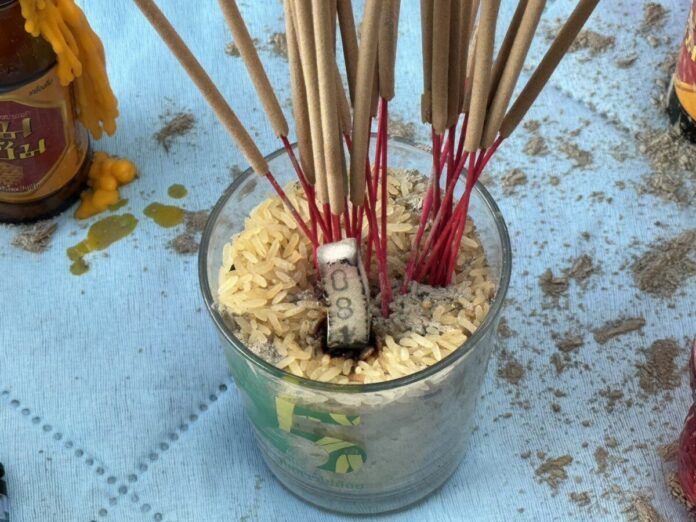 Golden ‘Naga’ eel found in central Thailand sparks lottery frenzy | News by Thaiger