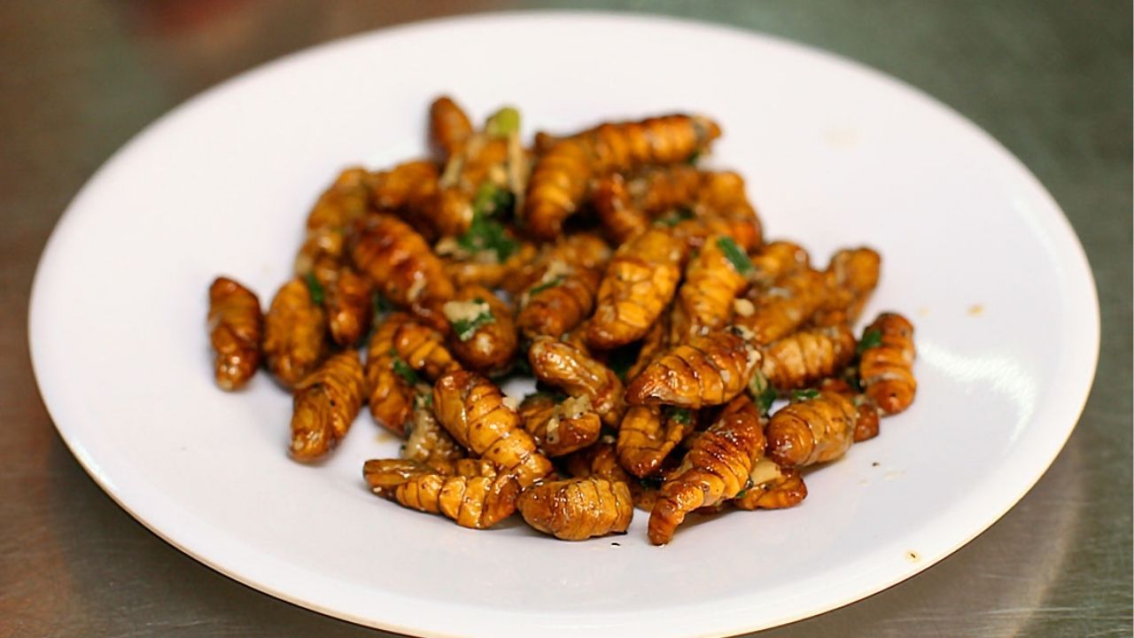 A plate of fried silkworms | Photo by Mai Lee taken from Bugsfeed