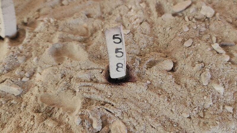 Central Thailand civil servant’s vow fulfilled with lucky numbers | News by Thaiger