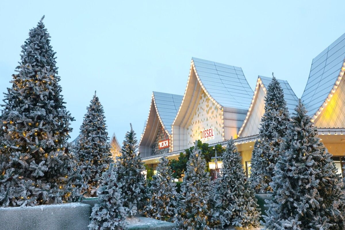 'The Magical Stars': Disney-themed fairytale kingdom rolls out nationwide | News by Thaiger