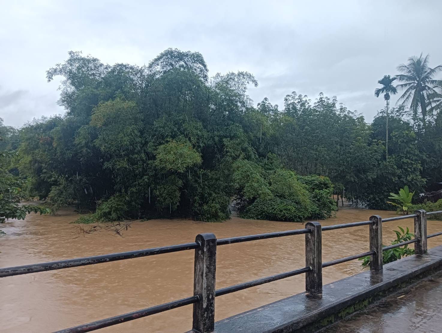 Songkhla underwater as floods swamp 18,000 homes | News by Thaiger