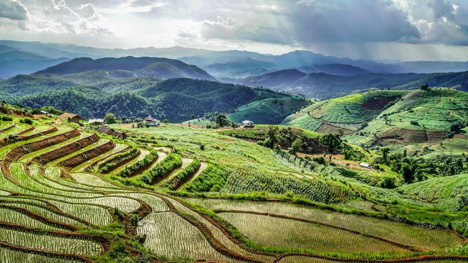 A picturesque landscape of rice fields in Pai
