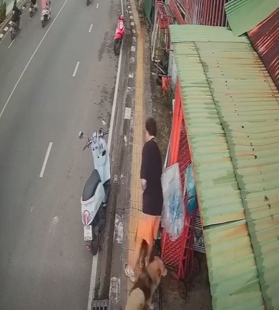 Foreigner steals motorbike in Phuket after petting dog (video) | News by Thaiger