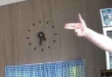 Foreign man threatens Phuket hotel staff after being denied entry with cat | Thaiger