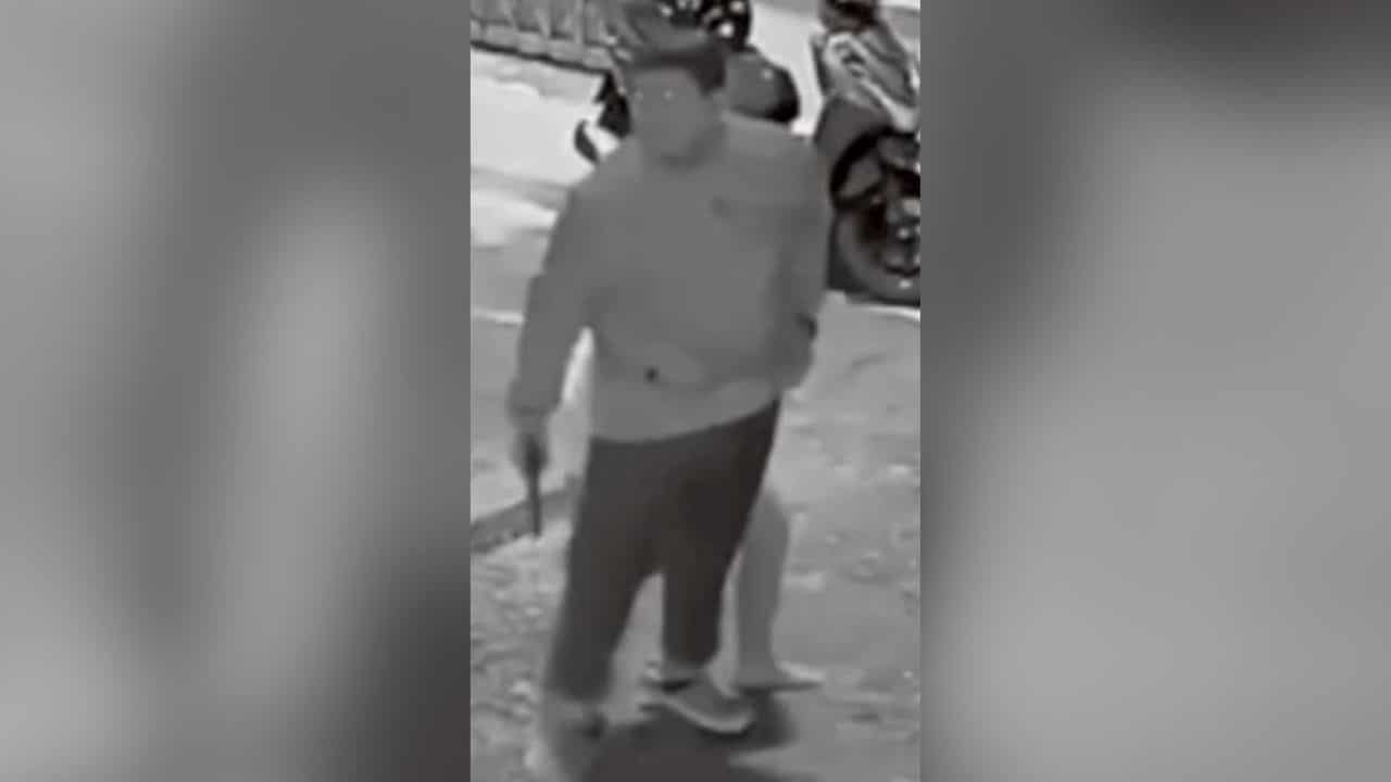 Cat grass eating leads to gun threat in Chon Buri