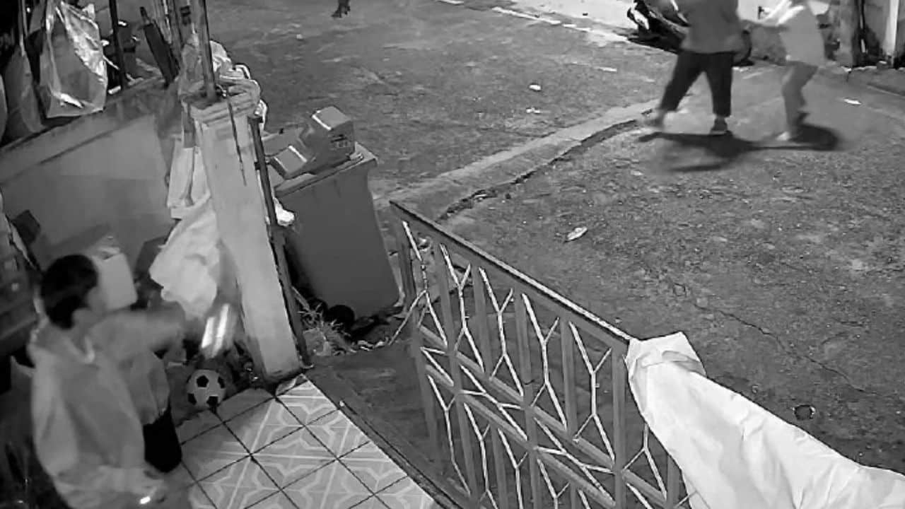 Pet cat leads to neighbour dispute