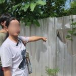 Female Bangkok taxi rider thanks heroes who save her from rape attempt | Thaiger