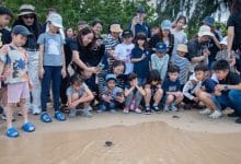Amnuay Silpa School celebrates its 100th anniversary with sea turtle conservation and mangrove reforestation in Sattahip | Thaiger
