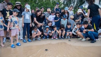 Amnuay Silpa School celebrates its 100th anniversary with sea turtle conservation and mangrove reforestation in Sattahip | Thaiger