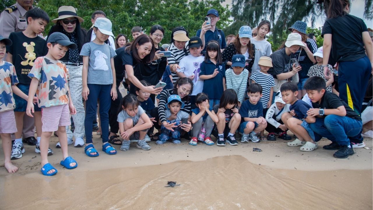 Amnuay Silpa School celebrates its 100th anniversary with sea turtle conservation and mangrove reforestation in Sattahip | Thaiger