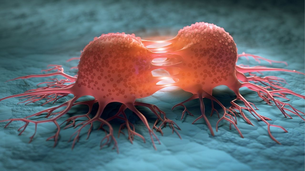 Does eating sugar equal killing ourselves? What research really says about 'slow death' from sugar | News by Thaiger