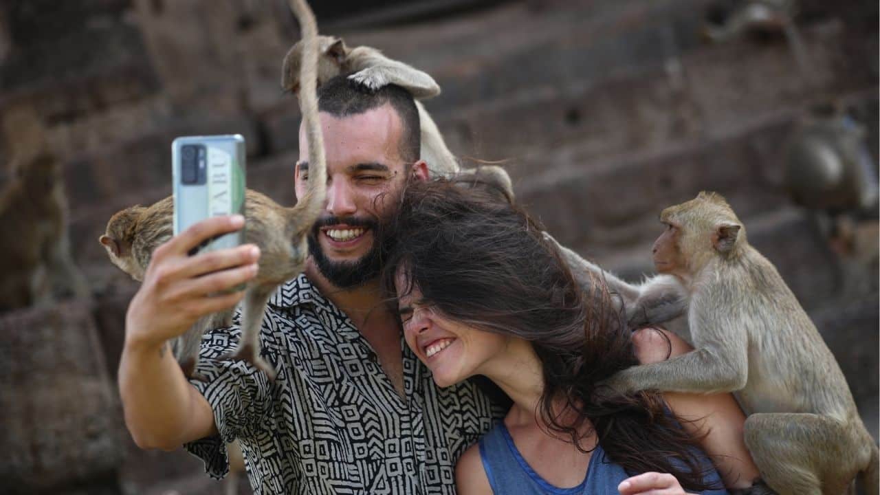 A playful Lopburi monkey troupe interacts with tourists in Thailand's ancient city.