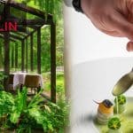 10 restaurants in Thailand have newly awarded for the Michelin Star in Thailand [2026 edition] | Thaiger