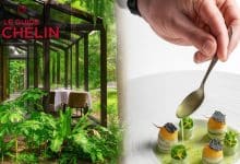 10 restaurants in Thailand have newly awarded for the Michelin Star in Thailand [2026 edition] | Thaiger