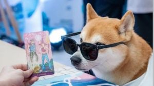 What to do in Bangkok this weekend (November 28 to 30) | Thaiger