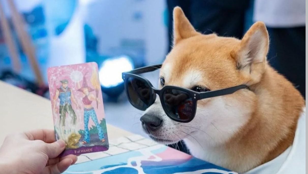 What to do in Bangkok this weekend (November 28 to 30) | Thaiger