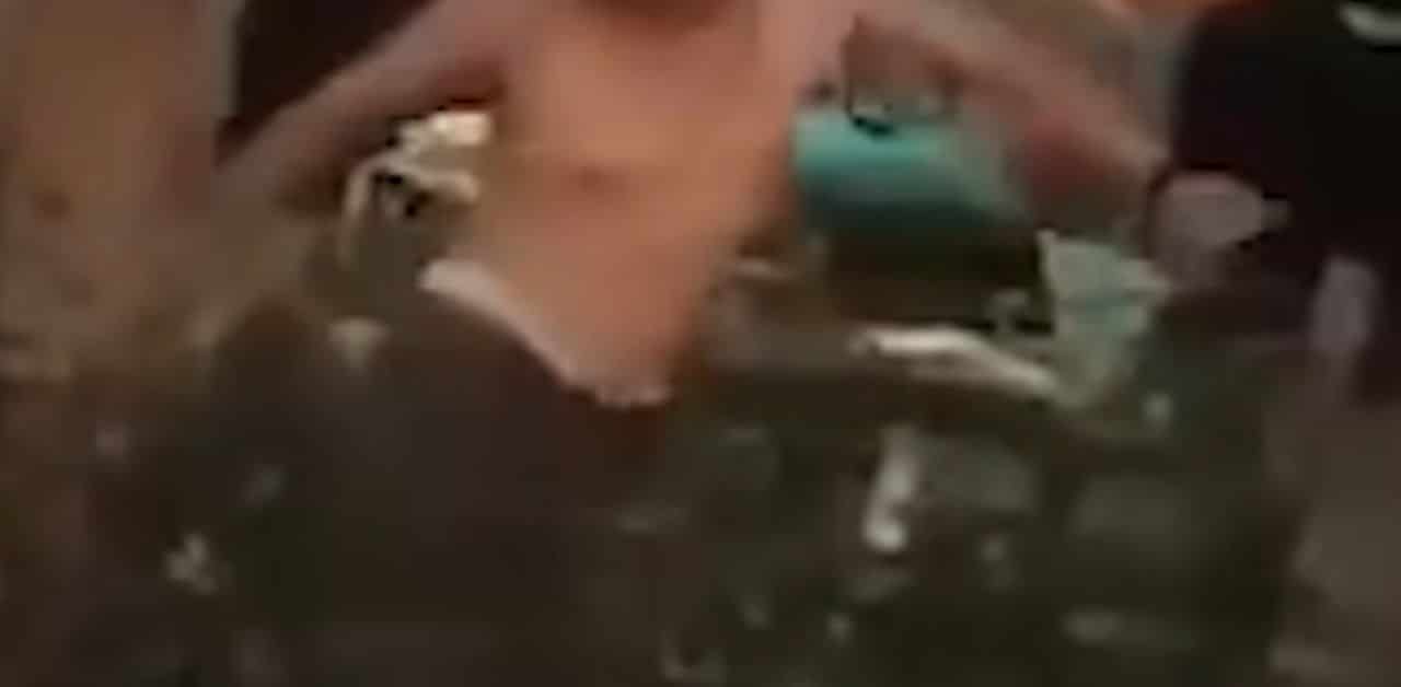 Thai man caught on viral video kicking dog