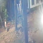 Rayong father suggests dog attack kills his 2 year old son | Thaiger