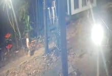 Rayong father suggests dog attack kills his 2 year old son | Thaiger