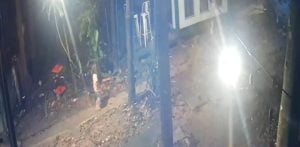 Rayong father suggests dog attack kills his 2 year old son | Thaiger