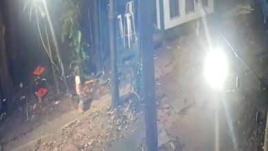 Rayong father suggests dog attack kills his 2 year old son | Thaiger