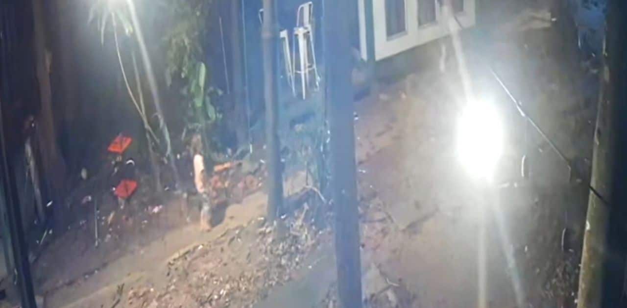 Rayong father suggests dog attack kills his 2 year old son | Thaiger