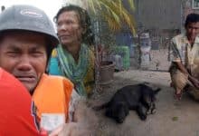 Heartbreaking video turns joyful as Thai man finds dogs left behind in floods | Thaiger
