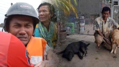 Heartbreaking video turns joyful as Thai man finds dogs left behind in floods | Thaiger