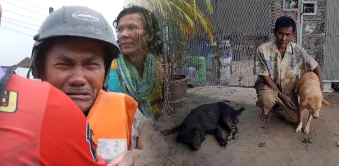 Heartbreaking video turns joyful as Thai man finds dogs left behind in floods | Thaiger
