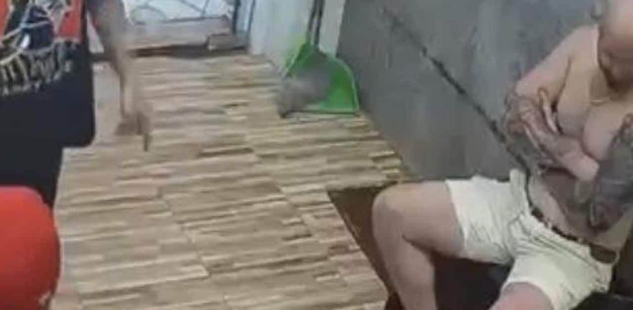 Australian man flees tattoo studio after service