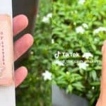 Foreigner’s cash hunting game labelled as harmful among Phuket residents | Thaiger