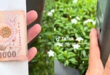 Foreigner’s cash hunting game labelled as harmful among Phuket residents | Thaiger