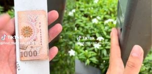 Foreigner’s cash hunting game labelled as harmful among Phuket residents | Thaiger