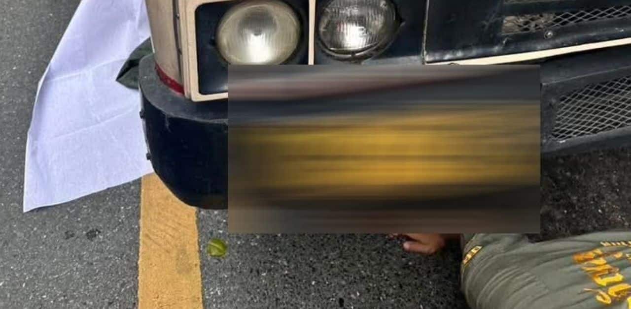 Public bus crashes and kills