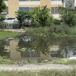 Thai theft suspect drowns after jumping into canal to escape arrest | Thaiger