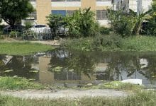 Thai theft suspect drowns after jumping into canal to escape arrest | Thaiger