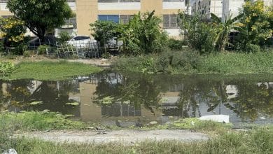 Thai theft suspect drowns after jumping into canal to escape arrest | Thaiger