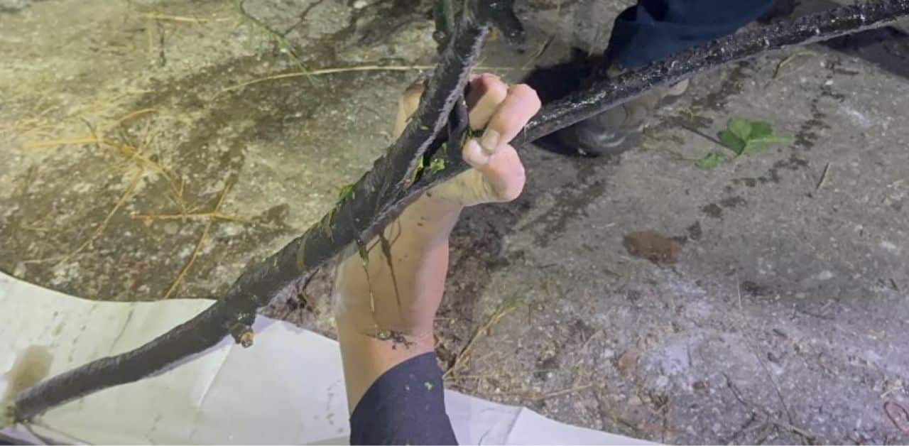 Thai man drowns after alleged car theft