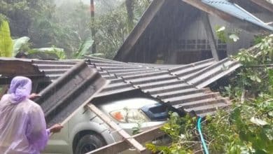 9 year old Thai girl killed in Satun landslide amid southern floods | Thaiger