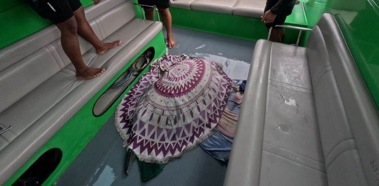 Sea turtle Similan Islands