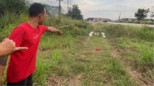 Toddler found dead by Rayong roadside prompts police probe | Thaiger