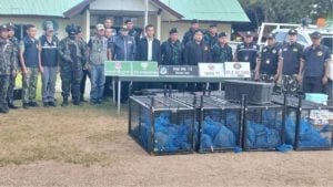 143 macaques rescued in Sa Kaeo border smuggling raid | Thaiger