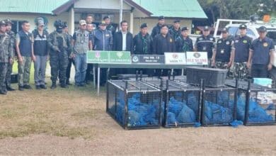 143 macaques rescued in Sa Kaeo border smuggling raid | Thaiger