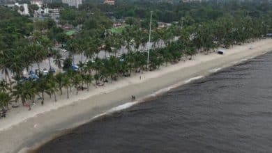 Bang Saen Beach turns black, vendors fear tourist drop | Thaiger