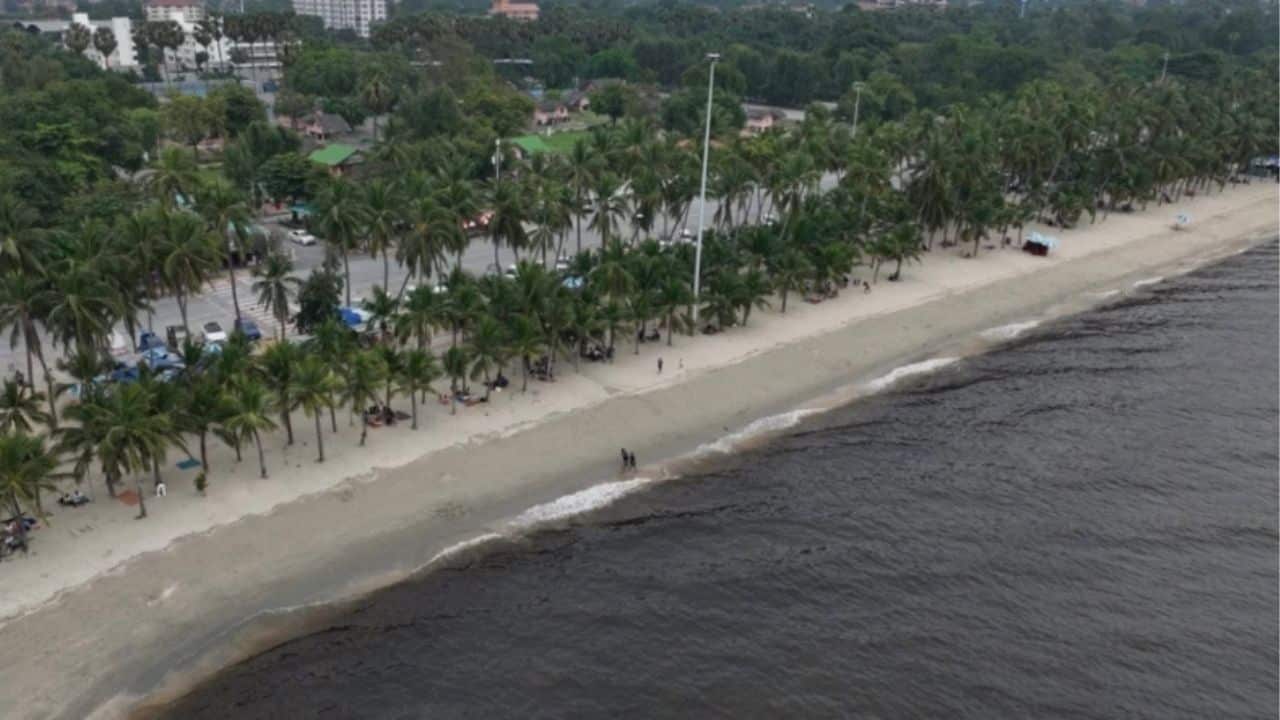 Bang Saen Beach turns black, vendors fear tourist drop | Thaiger