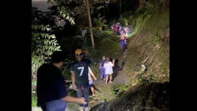Patong man found dead with lawnmower in suspected accident | Thaiger