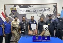 Waterfall romp lands foreign couple in hot water on Koh Pha Ngan | Thaiger