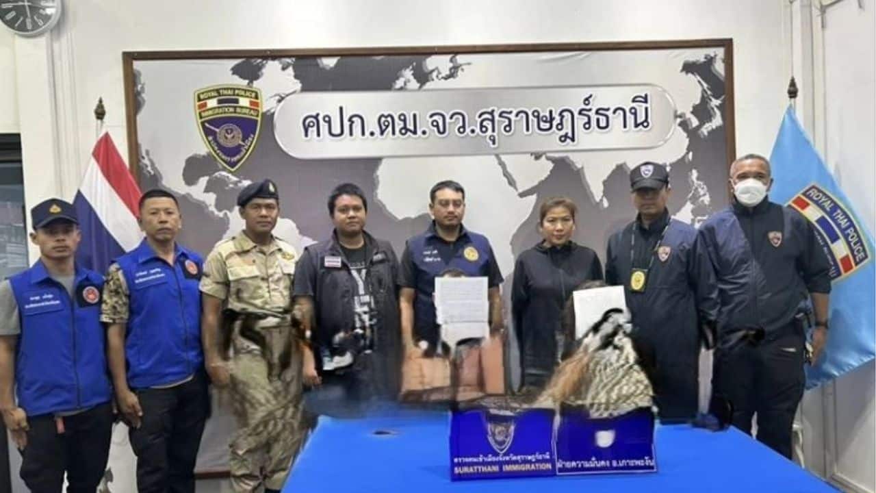 Waterfall romp lands foreign couple in hot water on Koh Pha Ngan | Thaiger