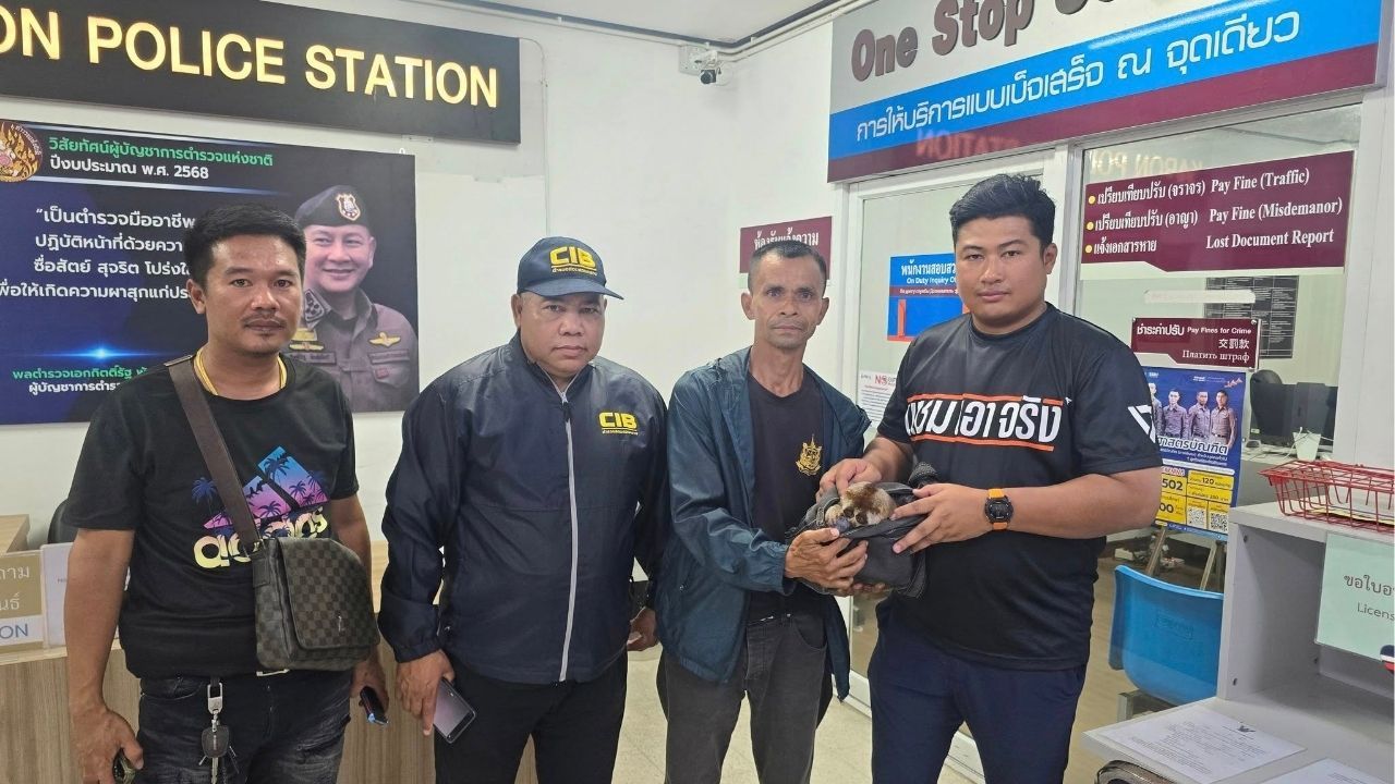 Repeat wildlife snapper caught again at Karon night market | Thaiger